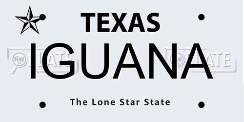 IGUANA Texas License Plate