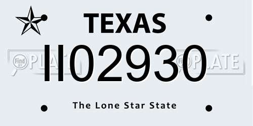 II02930 Texas License Plate