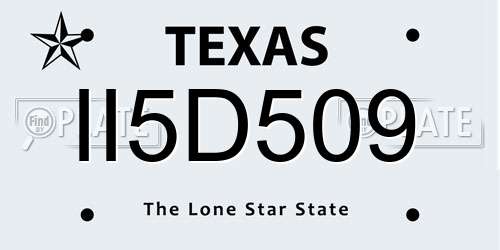II5D509 Texas License Plate