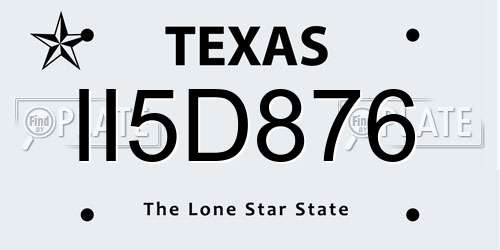 II5D876 Texas License Plate