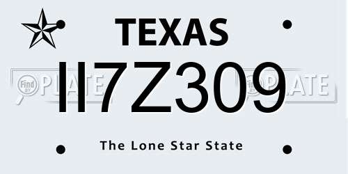 II7Z309 Texas License Plate