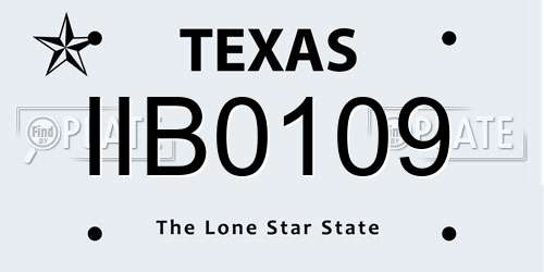 IIB0109 Texas License Plate