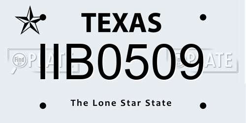 IIB0509 Texas License Plate