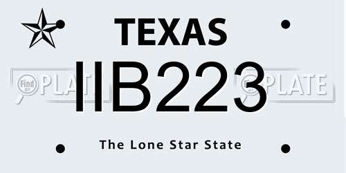 IIB223 Texas License Plate
