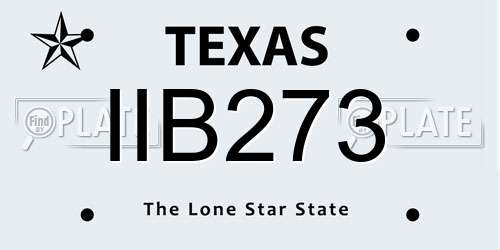 IIB273 Texas License Plate