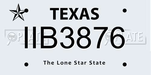 IIB3876 Texas License Plate