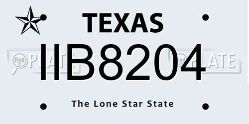 IIB8204 Texas License Plate