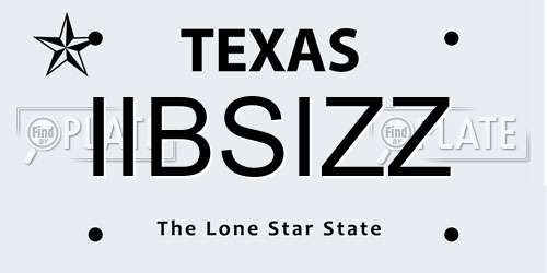 IIBSIZZ Texas License Plate