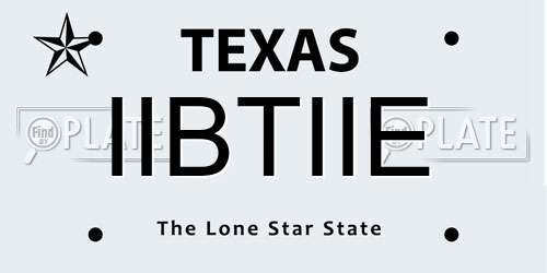 IIBTIIE Texas License Plate
