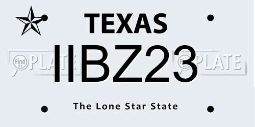 IIBZ23 Texas License Plate