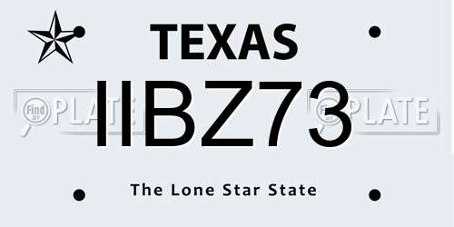 IIBZ73 Texas License Plate