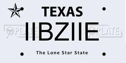 IIBZIIE Texas License Plate