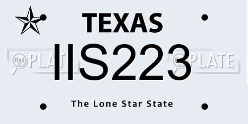 IIS223 Texas License Plate