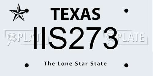 IIS273 Texas License Plate