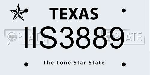 IIS3889 Texas License Plate