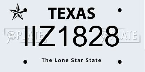 IIZ1828 Texas License Plate