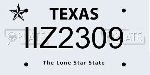 IIZ2309 Texas License Plate