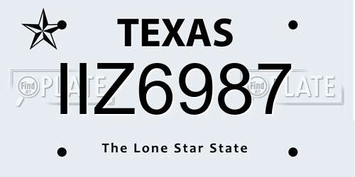IIZ6987 Texas License Plate