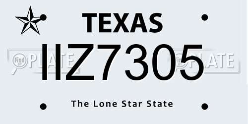 IIZ7305 Texas License Plate