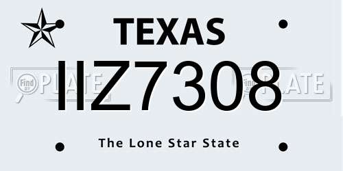 IIZ7308 Texas License Plate
