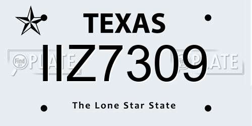 IIZ7309 Texas License Plate