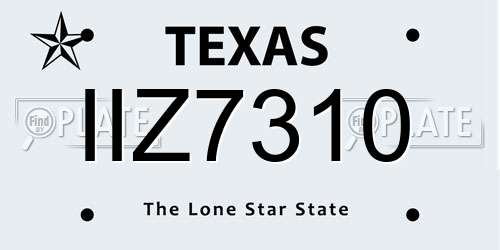 IIZ7310 Texas License Plate