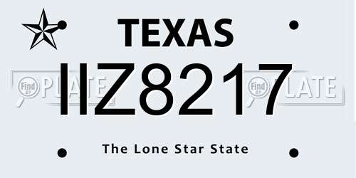 IIZ8217 Texas License Plate