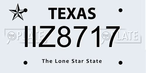 IIZ8717 Texas License Plate