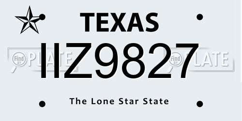 IIZ9827 Texas License Plate