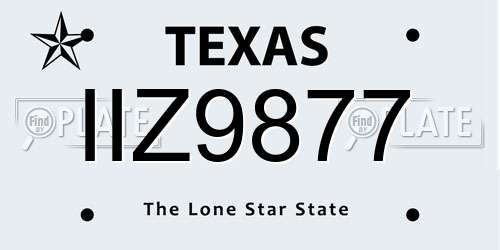 IIZ9877 Texas License Plate
