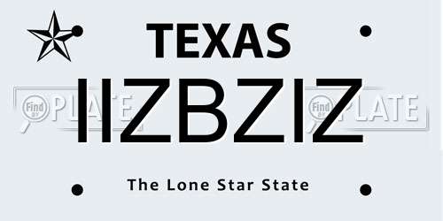 IIZBZIZ Texas License Plate
