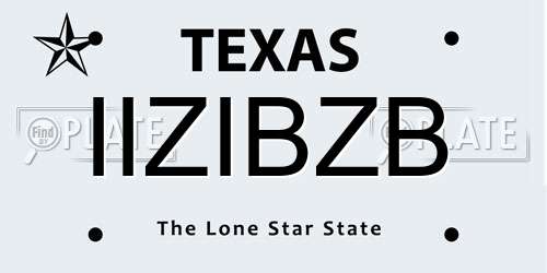 IIZIBZB Texas License Plate