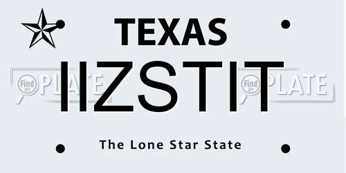 IIZSTIT Texas License Plate