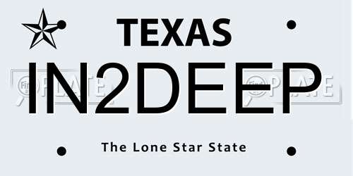 IN2DEEP Texas License Plate