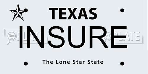 INSURE Texas License Plate