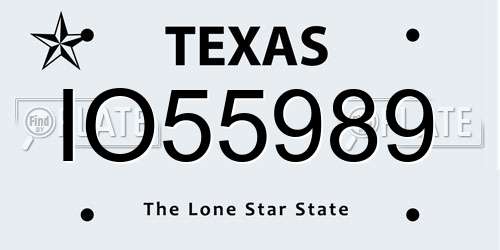 IO55989 Texas License Plate