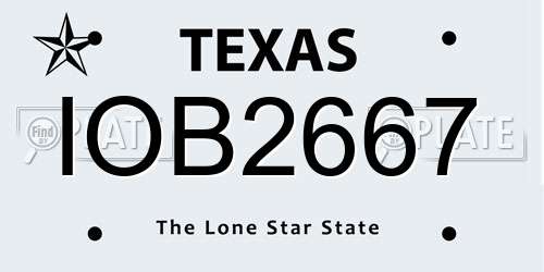 IOB2667 Texas License Plate