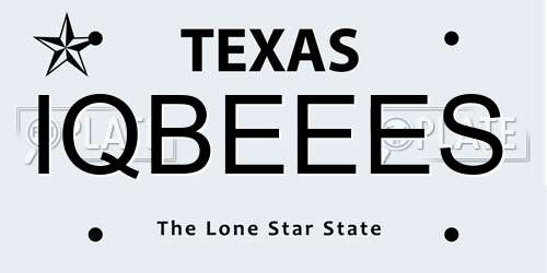 IQBEEES Texas License Plate