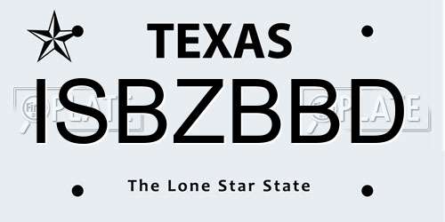 ISBZBBD Texas License Plate