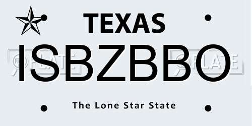 ISBZBBO Texas License Plate