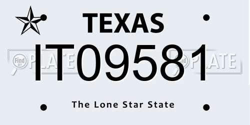 IT09581 Texas License Plate