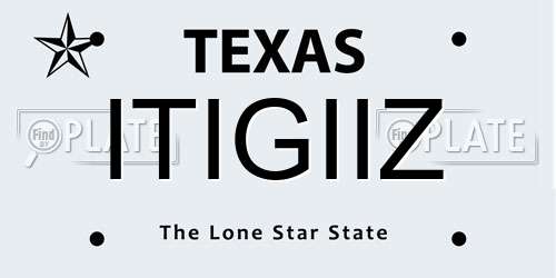 ITIGIIZ Texas License Plate