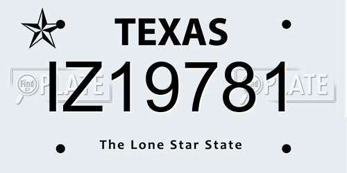 IZ19781 Texas License Plate