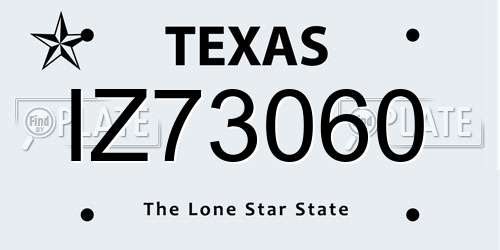 IZ73060 Texas License Plate