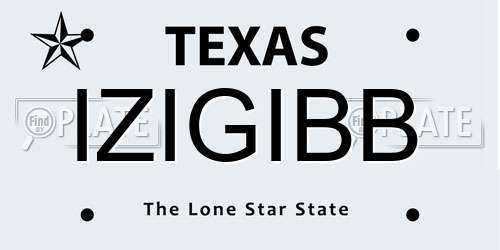 IZIGIBB Texas License Plate