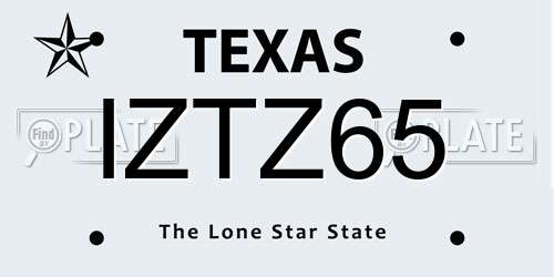 IZTZ65 Texas License Plate