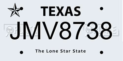 JMV8738 Texas License Plate
