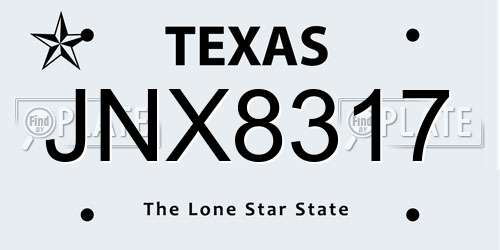JNX8317 Texas License Plate