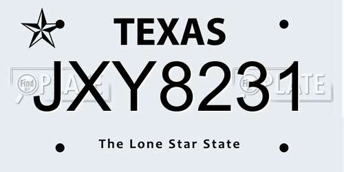 JXY8231 Texas License Plate