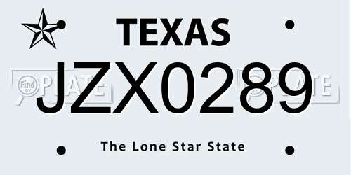 JZX0289 Texas License Plate